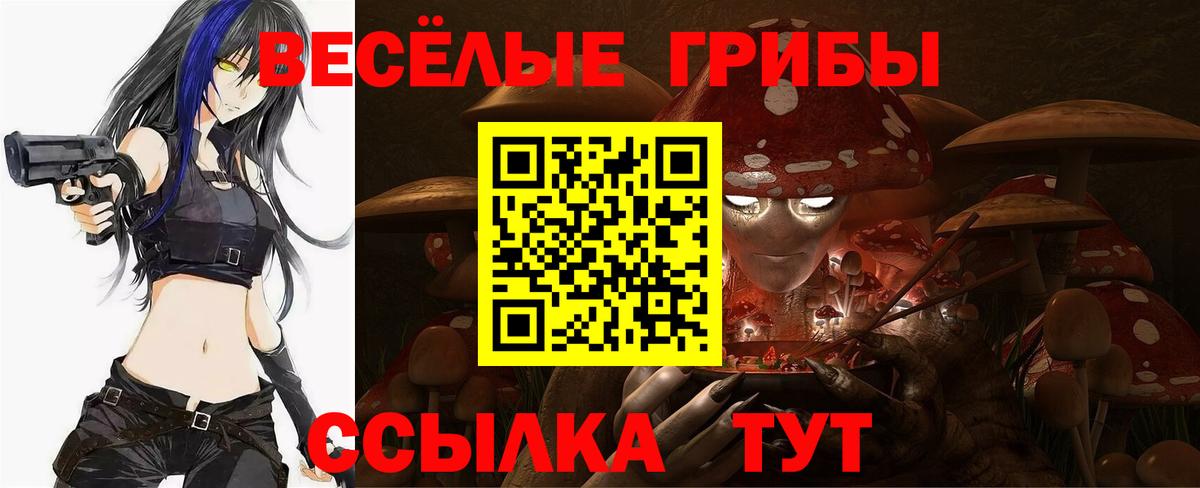 Псилоцибиновые грибы прущие грибы Городец