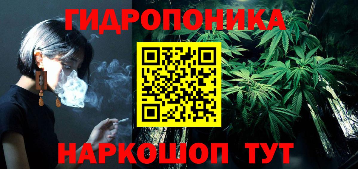 Бошки Шишки гибрид  Вход с VPN  Каннабис THC 21%  Городец  Каннабис семена  Бошки Шишки план 
